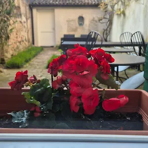19 Borgo Cavour B&B Treviso